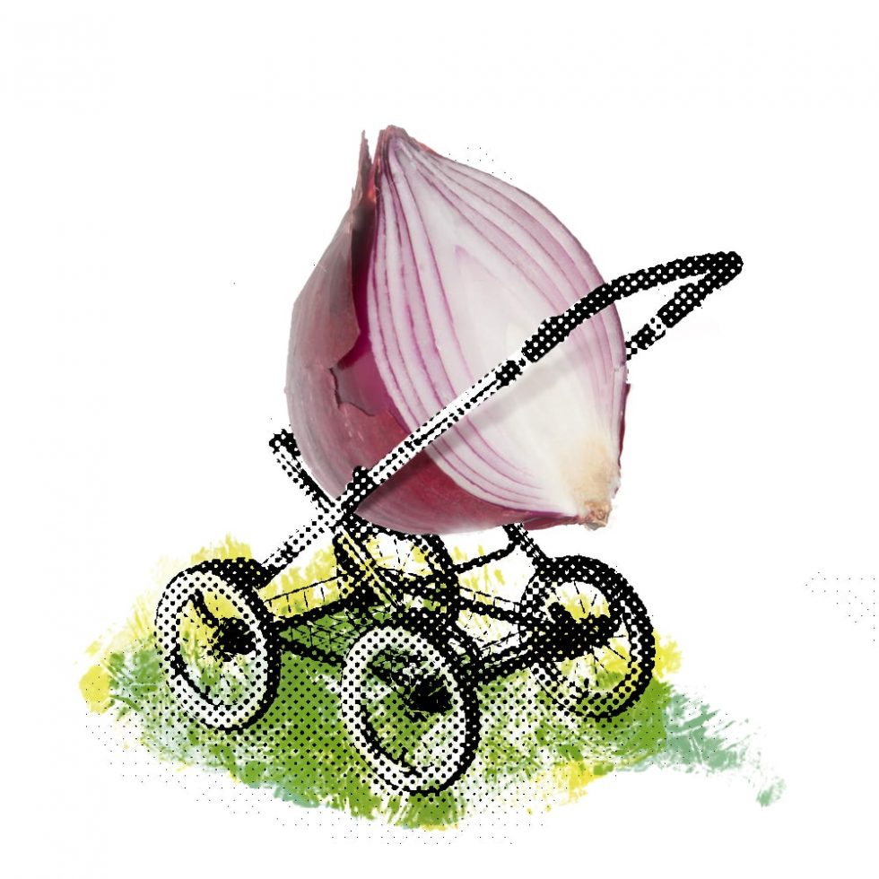 ilustración digital, nanas de la cebolla